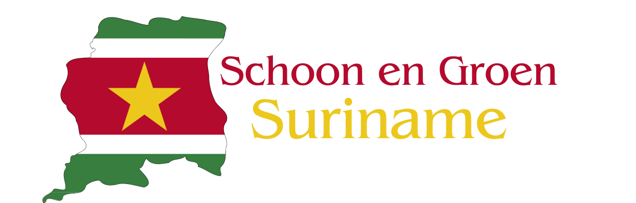 Schoon_Logo